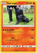 swat dogie