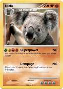 koala