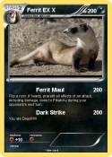 Ferrit EX X