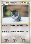 Chat miniature