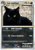Chat maléfique