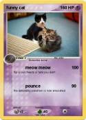 funny cat