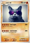 cool cat