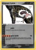pregnant hyena