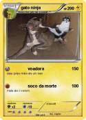 gato ninja