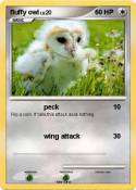 fluffy owl