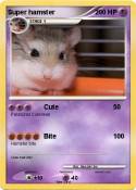 Super hamster
