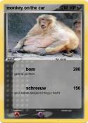 monkey on the