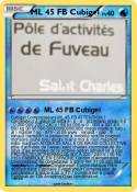 ML 45 FB Cubige