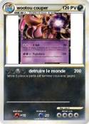 wootou couper