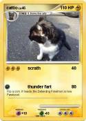 cattio