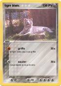 tigre blanc