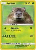 Capybara