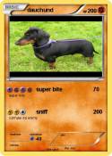dauchund