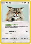 Fat Cat