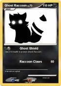 Ghost Raccoon
