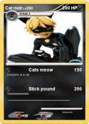Cat noir