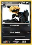 Cat noir