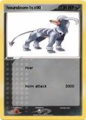 houndoom lv.x90