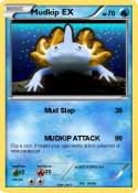 Mudkip EX