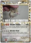 Elivater Hamste