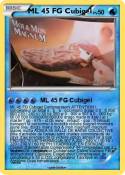 ML 45 FG Cubige