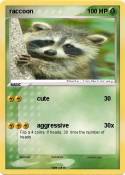 raccoon