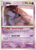 Shibe