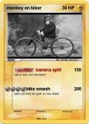 monkey on biker