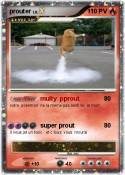 prouter
