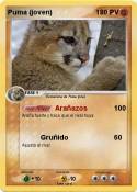 Puma (joven)