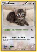 kitten