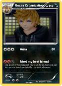 Roxas Organizat