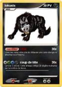 lokusts