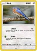 Bird
