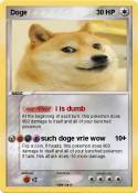 Doge