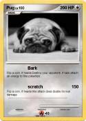 Pug