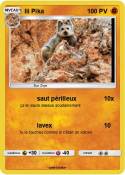 Ili Pika