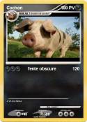 Cochon