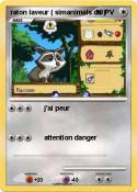 raton laveur (