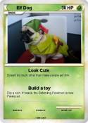 Elf Dog
