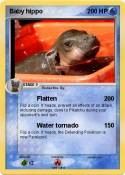 Baby hippo