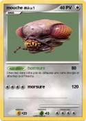 mouche au