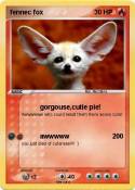 fennec fox