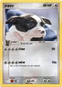 puppy