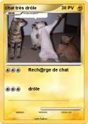 chat très