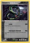 rayquaza y