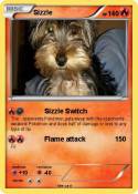 Sizzle