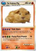 Fat Guinea Pig