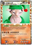 angry cat